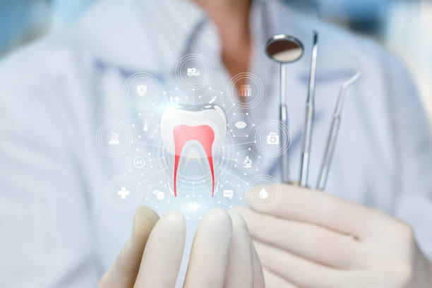 Professional  Holistic Dental Services in Spencerville, MD